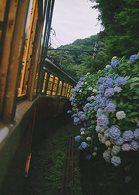 「あじさい電車」　井上　直紀