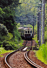 「緑の回廊」　中川　浩司