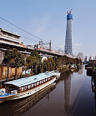 「新名所」　田中　耕