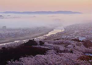 「春色の朝」　大塚　史生