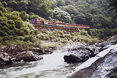 「保津川とトロッコ列車」　澤　龍太