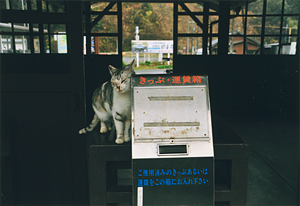 「野良駅長」　松本　宗久 様