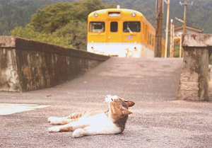 「廃線跡の駅長」　原田　佳典 様