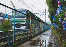 「梅雨時」　田所　俊一 様