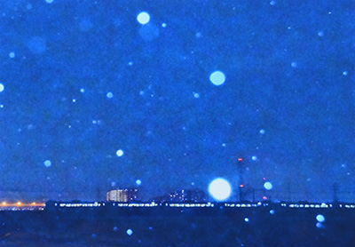 大賞