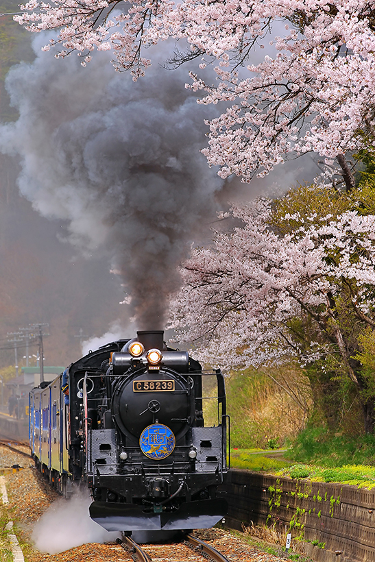 鉄道開業150年賞