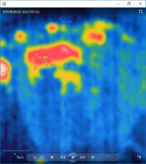 Thermal Image