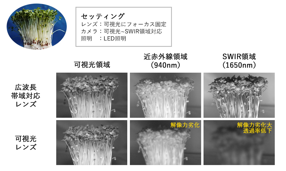 撮影事例1：各波長でのレンズ性能比較