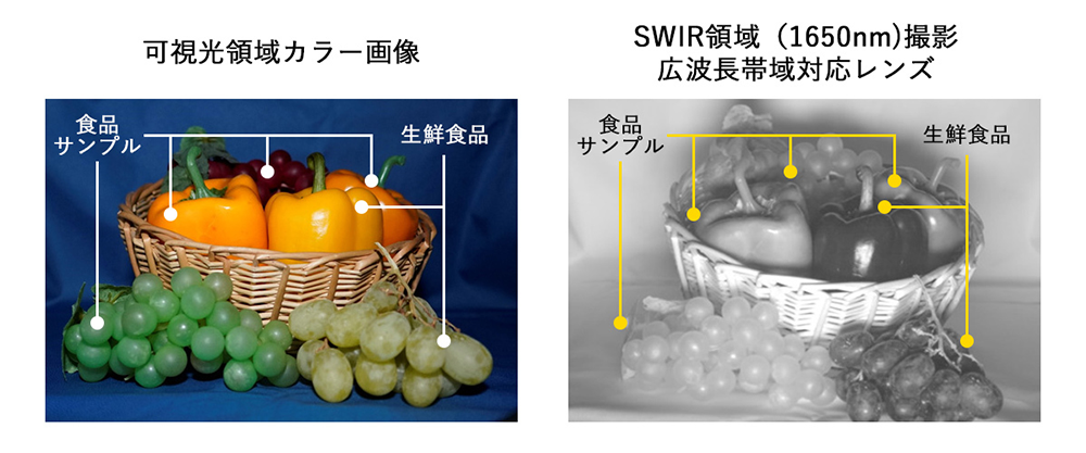 撮影事例2：SWIR領域での撮影効果