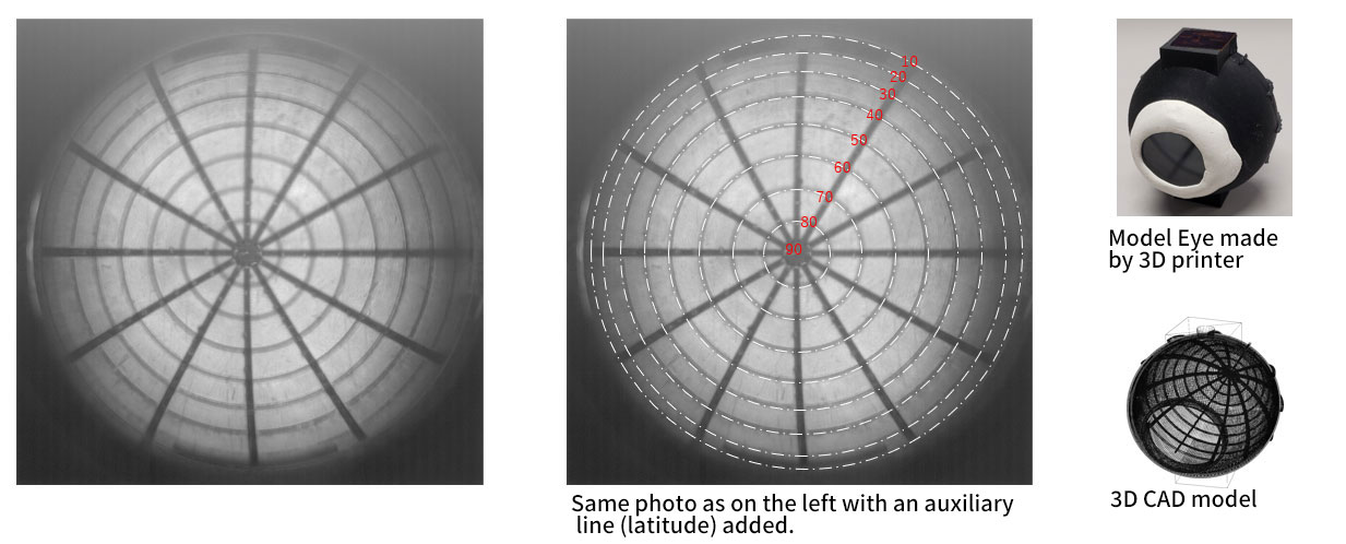 View field checking image by 3D printer model eye