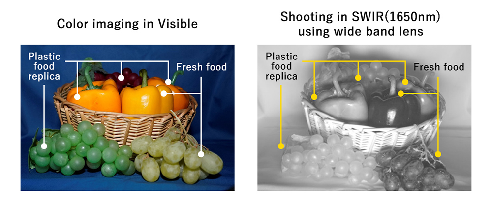 Shooting example 2：Imaging in SWIR band (Fresh foods & Plastic food replica)