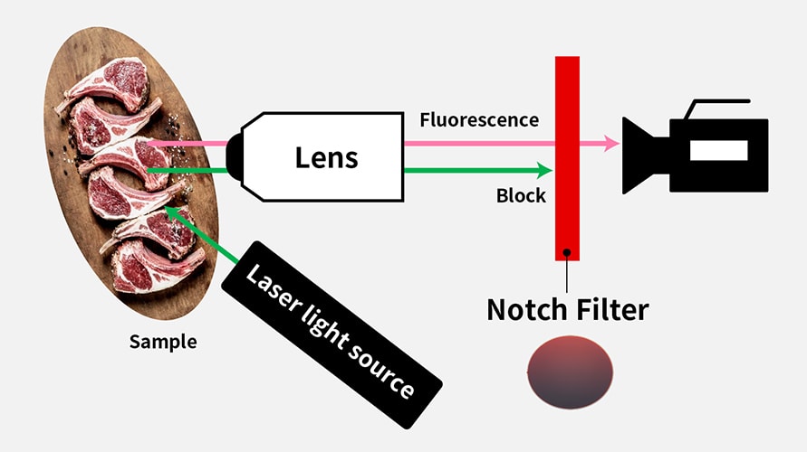 Fluorescence observation device