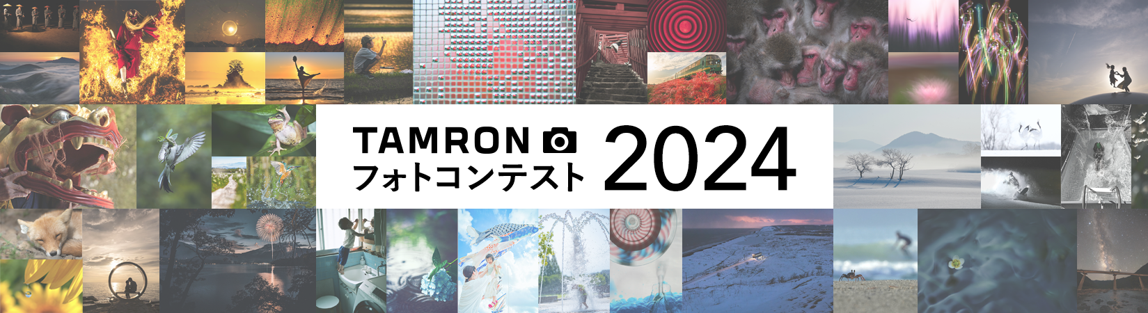 タムロンフォトコンテスト2024